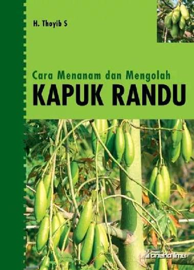 Cara Menanam Dan Mengolah Kapuk Randu